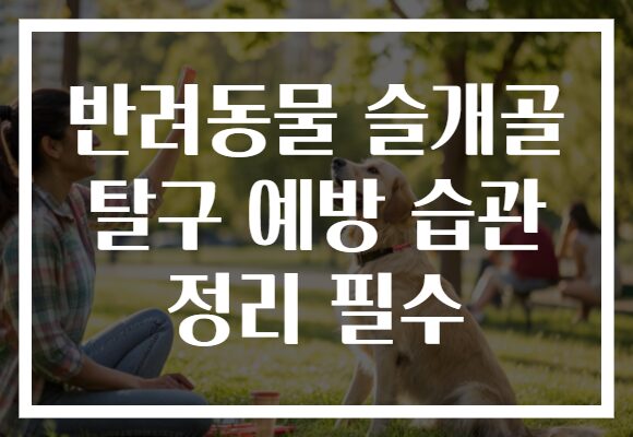 반려동물 슬개골 탈구 예방 습관 정리 필수