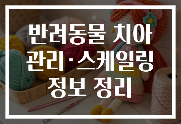반려동물 치아 관리·스케일링 정보 정리