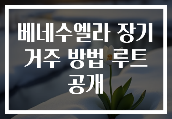 베네수엘라 장기 거주 방법 루트 공개