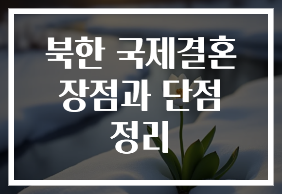 북한 국제결혼 장점과 단점 정리