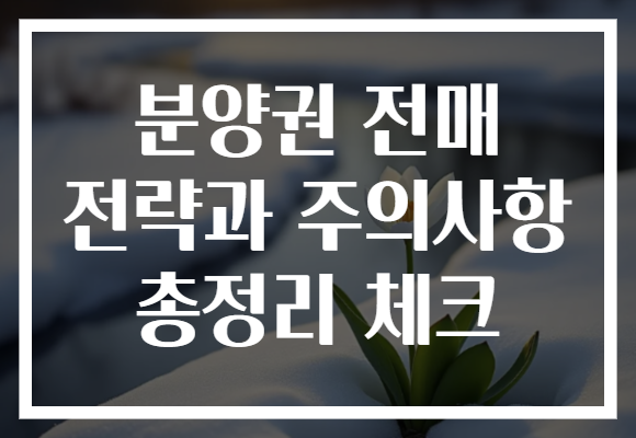 분양권 전매 전략과 주의사항 총정리 체크