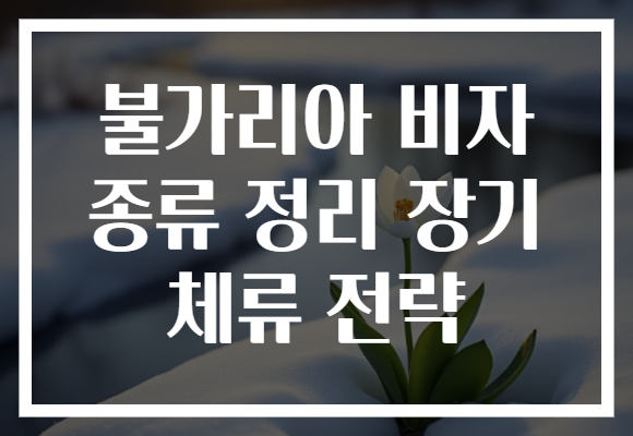 불가리아 비자 종류 정리 장기 체류 전략