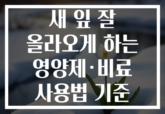 새 잎 잘 올라오게 하는 영양제·비료 사용법 기준