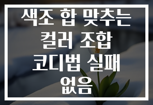 색조 합 맞추는 컬러 조합 코디법 실패 없음