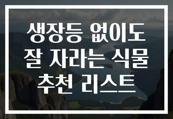 생장등 없이도 잘 자라는 식물 추천 리스트