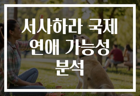 서사하라 국제 연애 가능성 분석