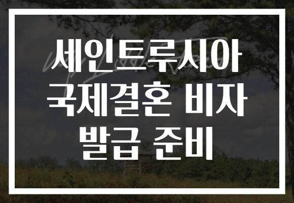 세인트루시아 국제결혼 비자 발급 준비