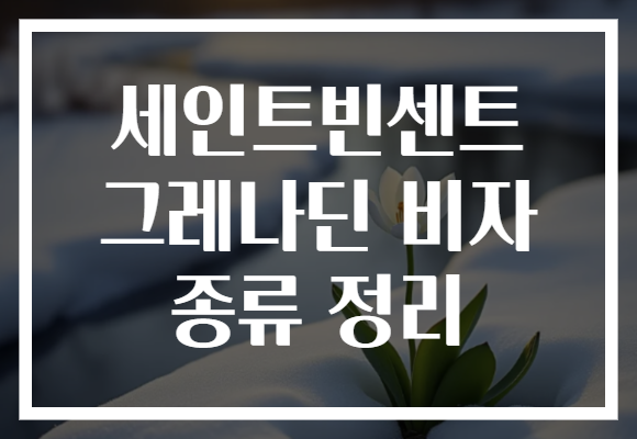 세인트빈센트 그레나딘 비자 종류 정리