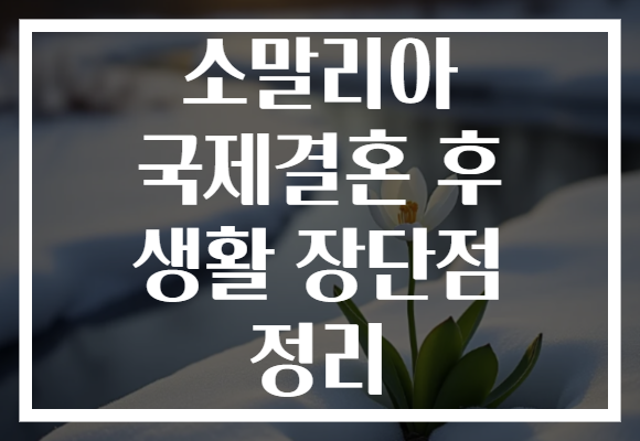 소말리아 국제결혼 후 생활 장단점 정리