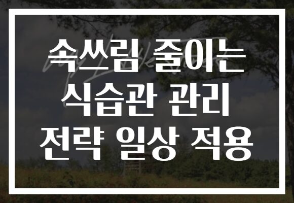 속쓰림 줄이는 식습관 관리 전략 일상 적용