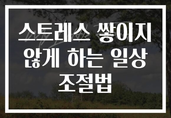 스트레스 쌓이지 않게 하는 일상 조절법