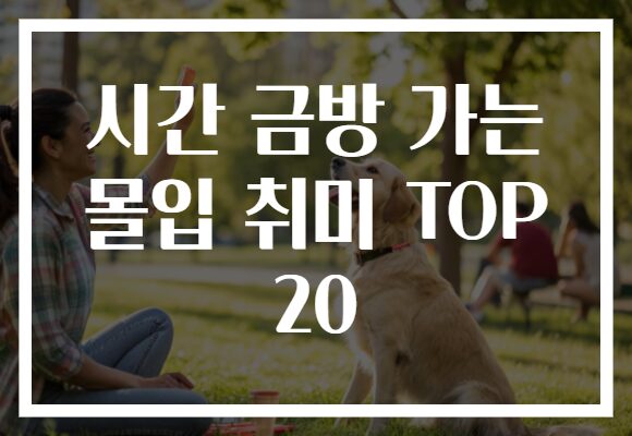 시간 금방 가는 몰입 취미 TOP 20