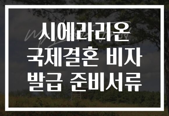 시에라리온 국제결혼 비자 발급 준비서류