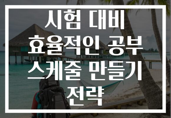 시험 대비 효율적인 공부 스케줄 만들기 전략