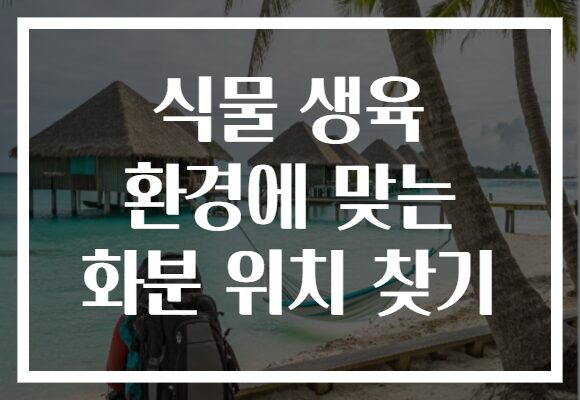식물 생육 환경에 맞는 화분 위치 찾기