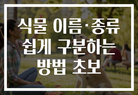 식물 이름·종류 쉽게 구분하는 방법 초보