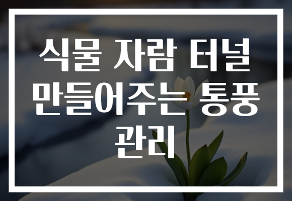 식물 자람 터널 만들어주는 통풍 관리