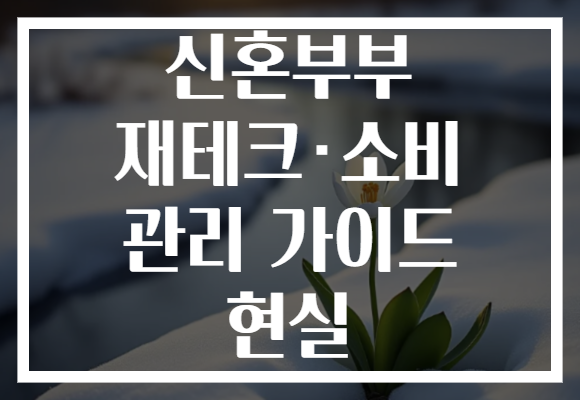 신혼부부 재테크·소비 관리 가이드 현실