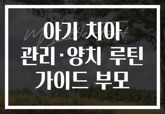 아기 치아 관리·양치 루틴 가이드 부모