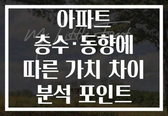 아파트 층수·동향에 따른 가치 차이 분석 포인트