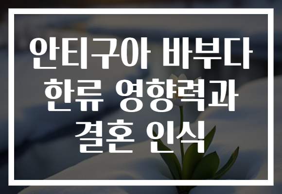 안티구아 바부다 한류 영향력과 결혼 인식