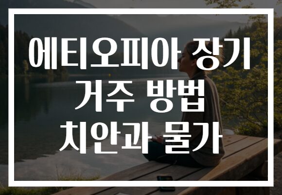 에티오피아 장기 거주 방법 치안과 물가