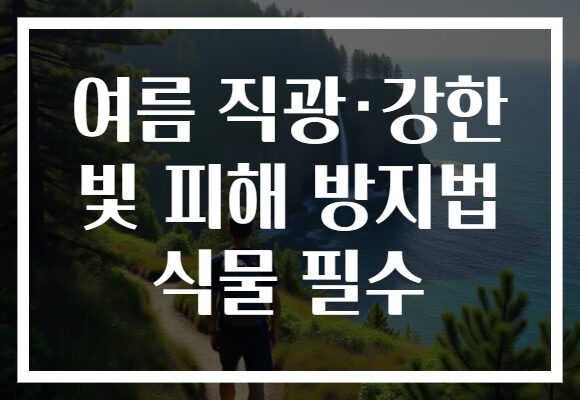 여름 직광·강한 빛 피해 방지법 식물 필수