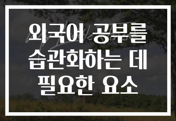 외국어 공부를 습관화하는 데 필요한 요소