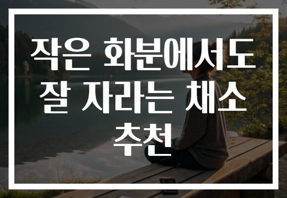 작은 화분에서도 잘 자라는 채소 추천
