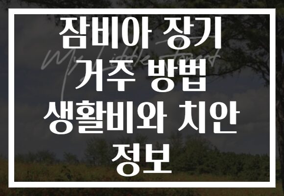 잠비아 장기 거주 방법 생활비와 치안 정보