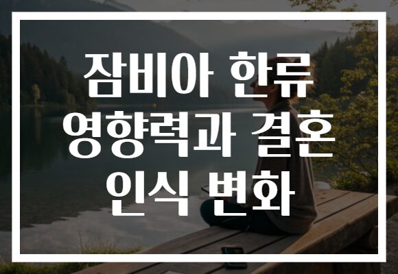 잠비아 한류 영향력과 결혼 인식 변화