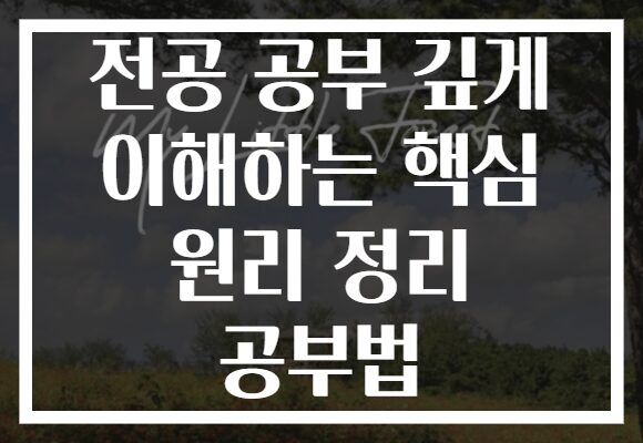 전공 공부 깊게 이해하는 핵심 원리 정리 공부법