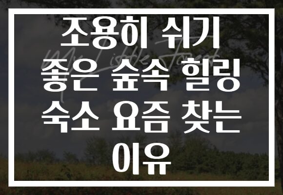 조용히 쉬기 좋은 숲속 힐링 숙소 요즘 찾는 이유