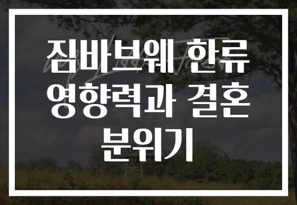 짐바브웨 한류 영향력과 결혼 분위기