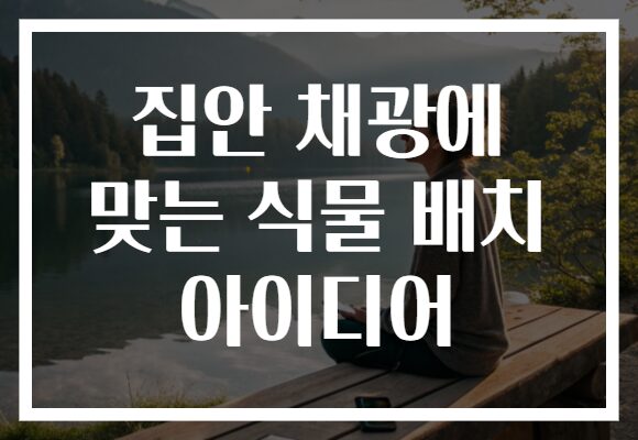 집안 채광에 맞는 식물 배치 아이디어