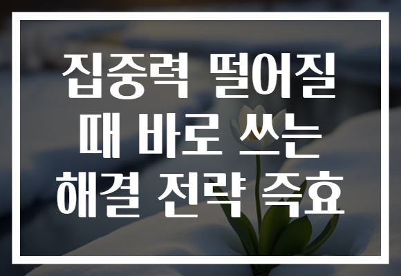 집중력 떨어질 때 바로 쓰는 해결 전략 즉효