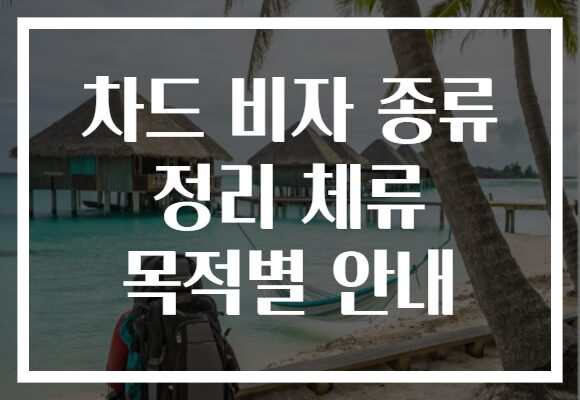 차드 비자 종류 정리 체류 목적별 안내