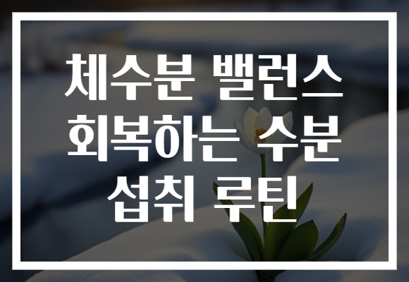 체수분 밸런스 회복하는 수분 섭취 루틴