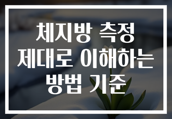 체지방 측정 제대로 이해하는 방법 기준
