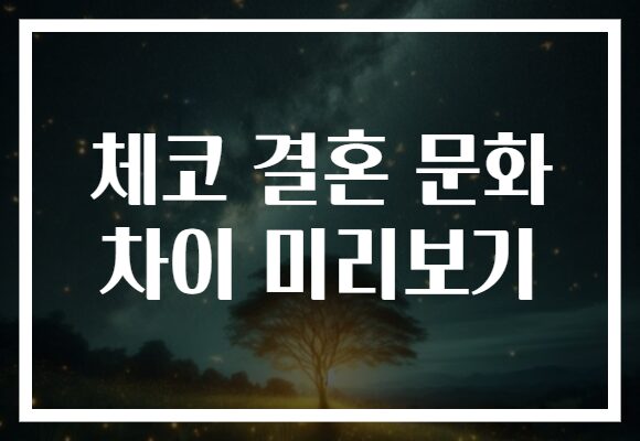 체코 결혼 문화 차이 미리보기