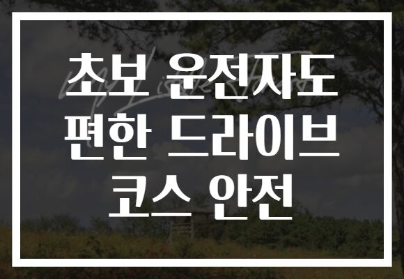 초보 운전자도 편한 드라이브 코스 안전