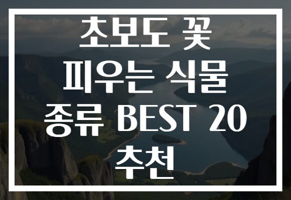 초보도 꽃 피우는 식물 종류 BEST 20 추천