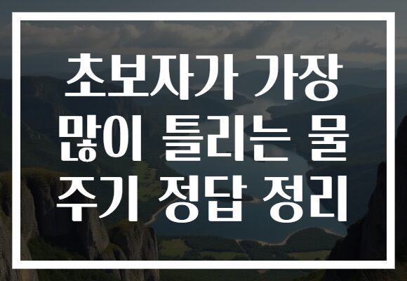 초보자가 가장 많이 틀리는 물 주기 정답 정리