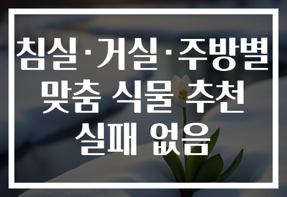 침실·거실·주방별 맞춤 식물 추천 실패 없음