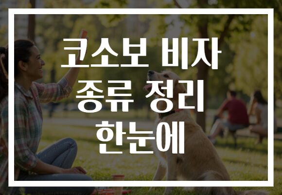 코소보 비자 종류 정리 한눈에