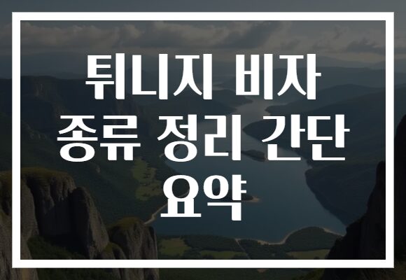 튀니지 비자 종류 정리 간단 요약
