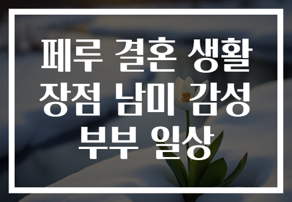 페루 결혼 생활 장점 남미 감성 부부 일상