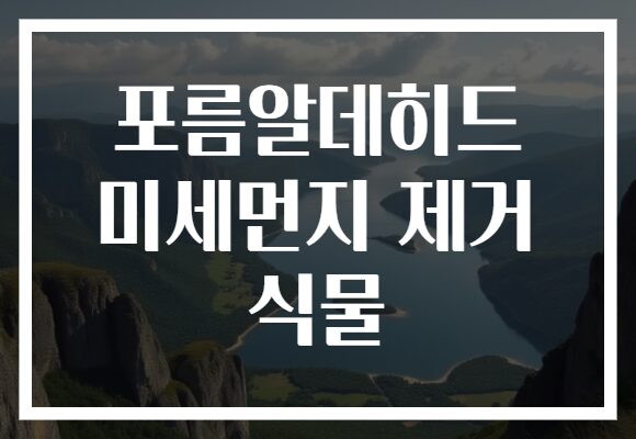 포름알데히드 미세먼지 제거 식물