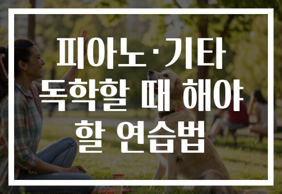 피아노·기타 독학할 때 해야 할 연습법