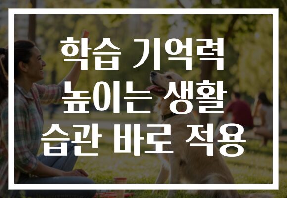학습 기억력 높이는 생활 습관 바로 적용
